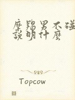 摩羯男不碰你了说明什么