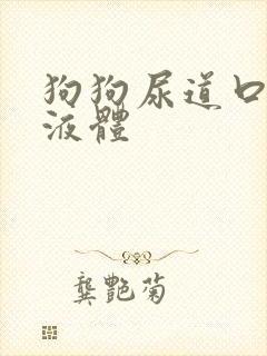 狗狗尿道口脓状液体