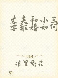 丈夫和小三同居要离婚如何挽回