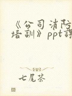 《公司消防安全培训》ppt课件