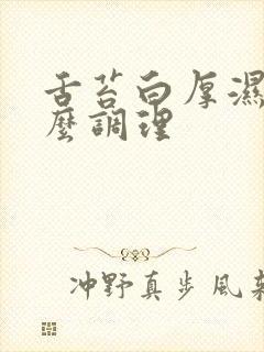 舌苔白厚湿热怎么调理