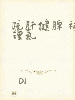 疏肝健脾 祛湿理气