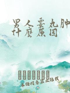 男人睾丸肿痛疼什么原因