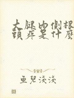 大腿内侧根部骨头疼是什么原因