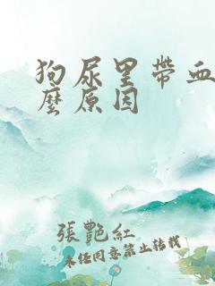 狗尿里带血是什么原因