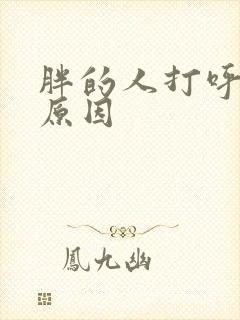 胖的人打呼噜的原因