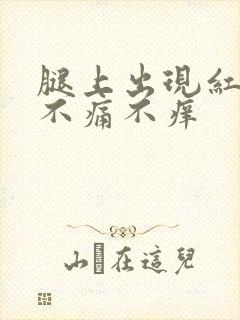 腿上出现红点点不痛不痒