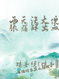 两天没大便肛门胀痛解出血粘液