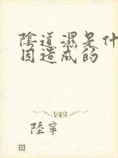 阴道湿是什么原因造成的