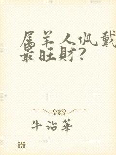 属羊人佩戴什么最旺财?