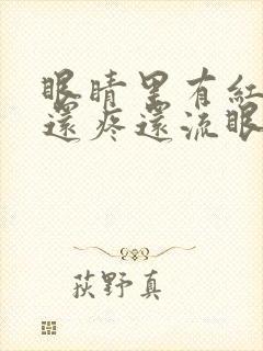 眼睛里有红血丝还疼还流眼泪