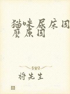 猫咪尿床因为什么原因