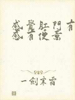 感觉肛门有坠胀感有便意