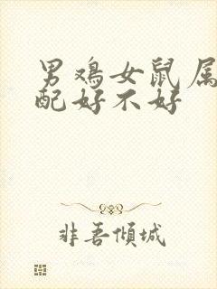 男鸡女鼠属相婚配好不好