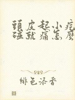 头皮起小疙瘩一碰就痛怎么办