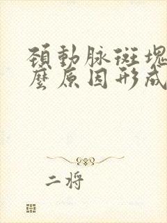 颈动脉斑块是什么原因形成的