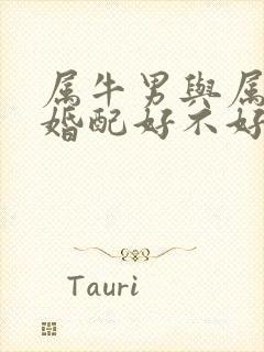 属牛男与属牛女婚配好不好