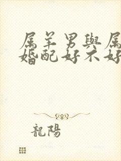 属羊男与属蛇女婚配好不好