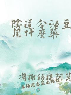 阴道分泌豆腐渣用什么药