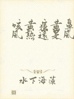 咳黄痰黄鼻涕是风热还是风寒