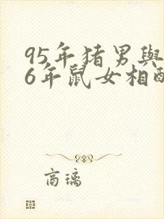 95年猪男与96年鼠女相配吗