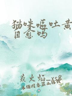 猫咪呕吐黄水能自愈吗