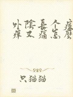 外阴长个痘痘又痒又痛怎么回事