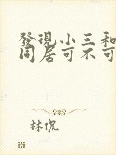 发现小三和老公同居可不可以报警