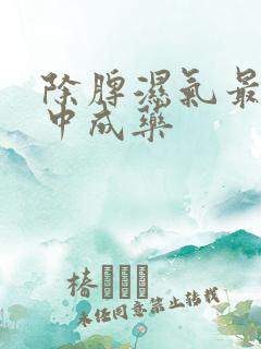 除脾湿气最好的中成药