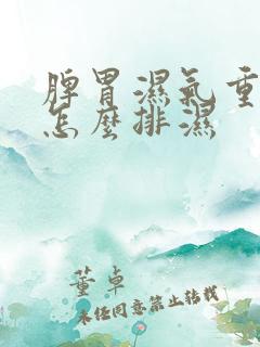 脾胃湿气重的人怎么排湿