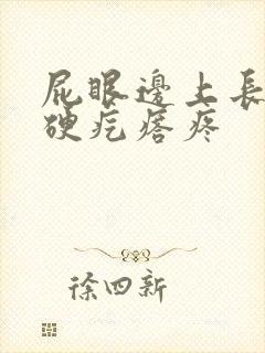 屁眼边上长一个硬疙瘩疼