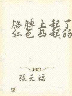 胳膊上起了几个红色凸起的小包