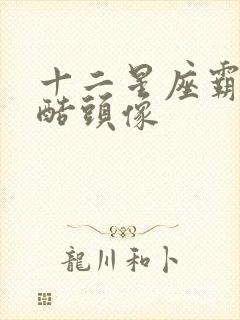 十二星座霸气冷酷头像