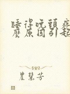 睡得晚头疼是什么原因引起的