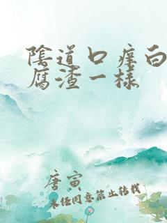 阴道口痒白带豆腐渣一样