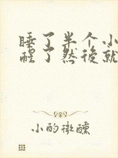 睡了半个小时就醒了然后就睡不着