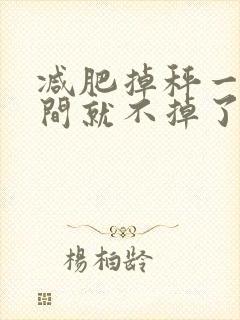 减肥掉秤一段时间就不掉了