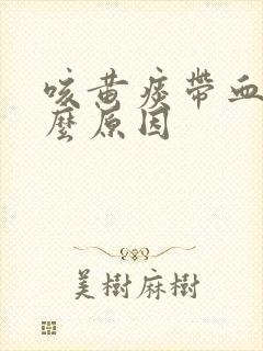 咳黄痰带血是什么原因