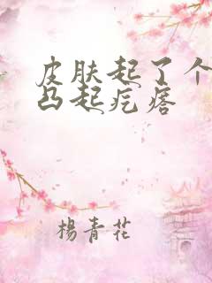 皮肤起了个红色凸起疙瘩