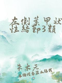 左侧叶甲状腺实性结节3类