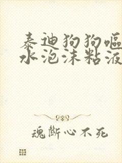 泰迪狗狗呕吐黄水泡沫粘液