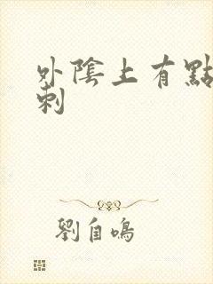 外阴上有点小肉刺