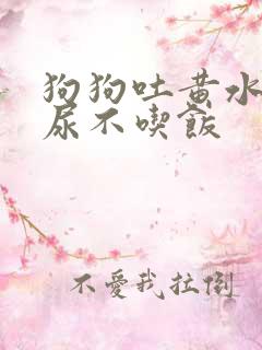 狗狗吐黄水尿黄尿不吃饭