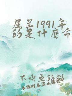 属羊1991年的是什么命运如何