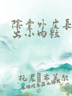 阴囊外皮长个突出小肉粒