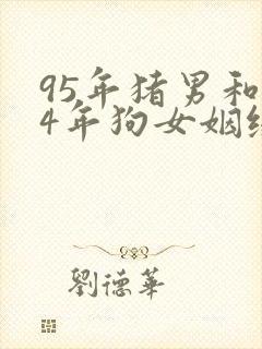 95年猪男和94年狗女姻缘如何