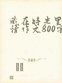 藏在时光里的温情作文800字