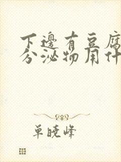 下边有豆腐渣的分泌物用什么药