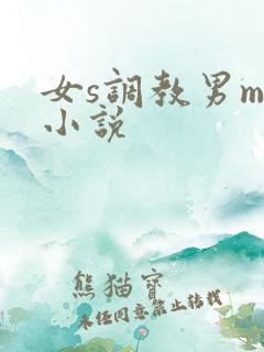女s调教男m的小说