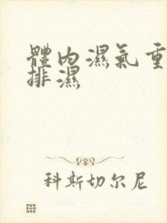 体内湿气重怎么排湿